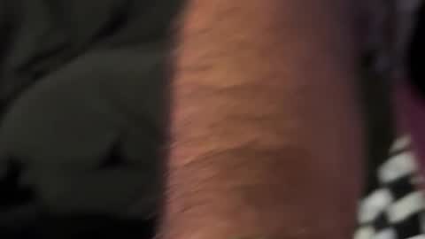 chubbybiboy77 online show from March 2, 7:15 am