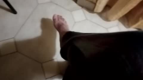 ciccilli online show from October 28, 2:56 am