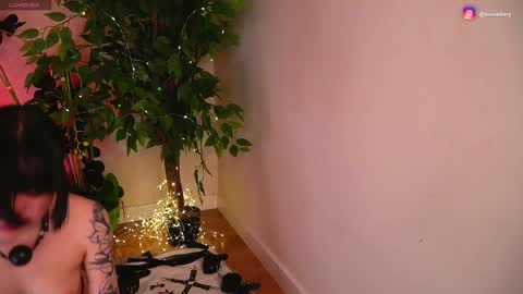 Jodi online show from March 8, 4:05 am