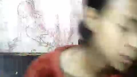 cindyx69 online show from July 19, 6:38 am