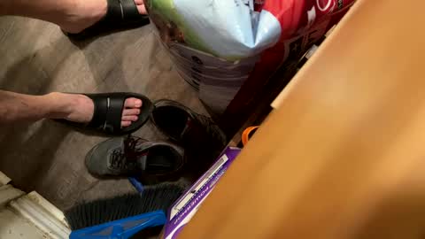 Cjd32 online show from September 15, 3:30 am