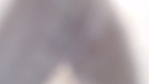 clamsynana online show from May 14, 9:02 pm