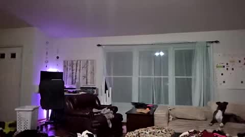 clarnbear online show from July 2, 2:42 am