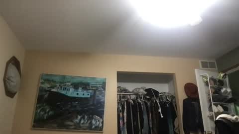 clarnbear online show from July 28, 2:24 pm