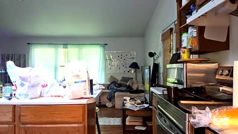 clarnbear online show from July 19, 2:41 pm