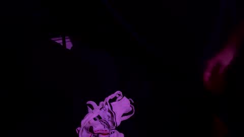 Drew online show from October 23, 9:44 am