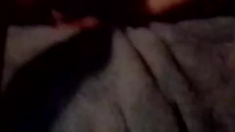 coby8869 online show from October 2, 3:49 am