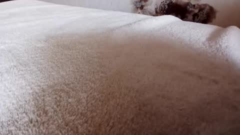 cockringuser13 online show from September 17, 8:51 am