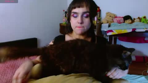 Collette online show from July 11, 7:56 am
