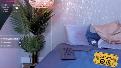 colt_perci online show from February 27, 10:33 am