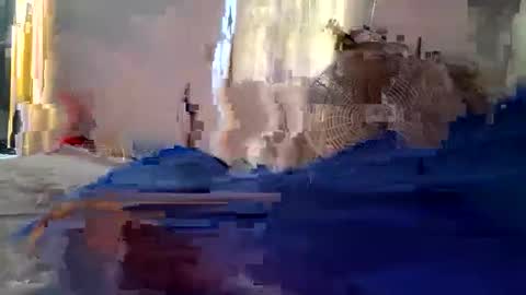 connlee10929154 online show from May 3, 8:04 pm