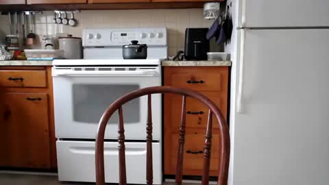 Cool Dude online show from February 19, 7:59 pm