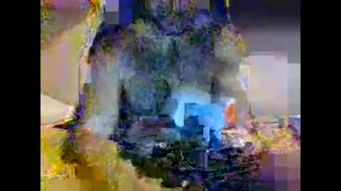 Coppai200 online show from March 16, 4:33 pm