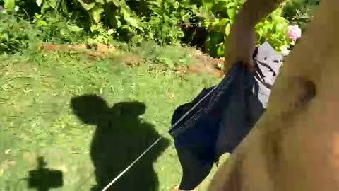 Countrydilf online show from January 6, 2:25 pm