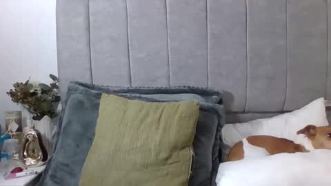 LAURA online show from April 28, 4:22 pm