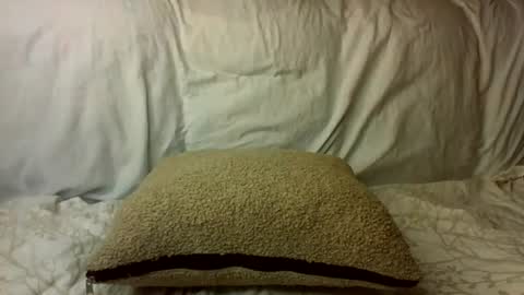 creamyy_pussy online show from July 11, 10:13 pm