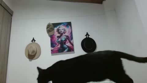 Crystal Blaze online show from March 1, 12:26 am