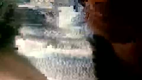 Snapshot of cumgazm69 chatting on October 7, 8:43 am kiwi bloke online show from October 7, 8:43 am