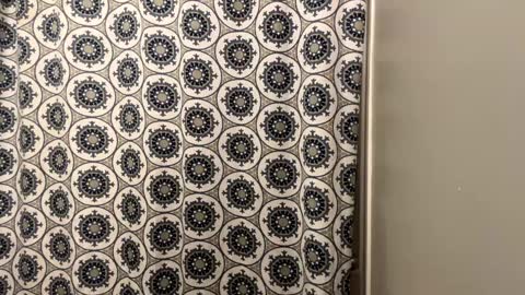 ConCon online show from January 20, 12:36 am