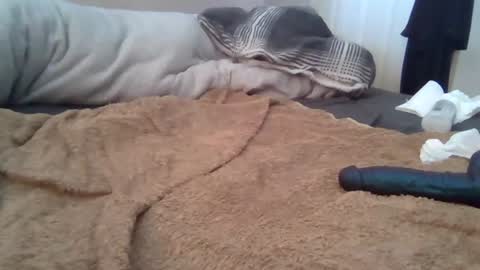 cummbumm69 online show from August 2, 12:18 pm