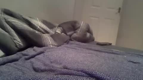 cummbumm69 online show from February 14, 8:11 pm