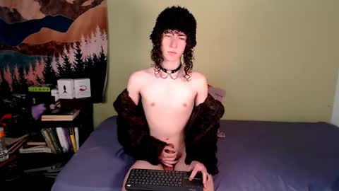 Snapshot of curlyytwink chatting on January 20, 4:12 pm Noah online show from January 20, 4:12 pm
