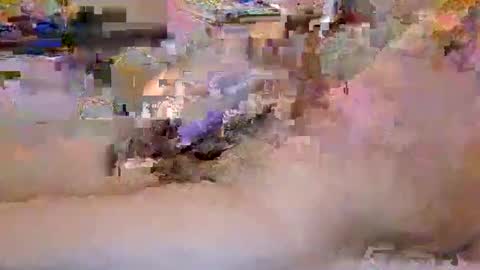 dafo1980 online show from April 29, 10:42 am