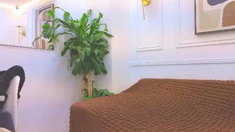 Daisy Price online show from July 10, 10:42 am