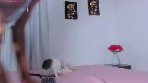 Daisy online show from June 30, 11:31 am