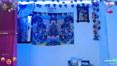 Dakko online show from July 13, 11:36 am
