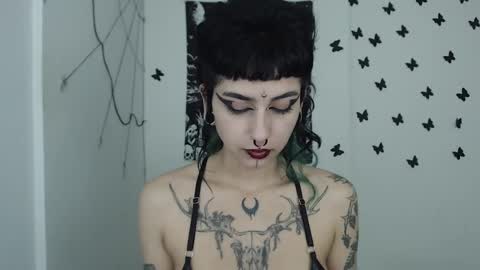 dakota online show from January 14, 10:48 am