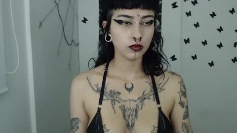 dakota online show from January 28, 4:18 am