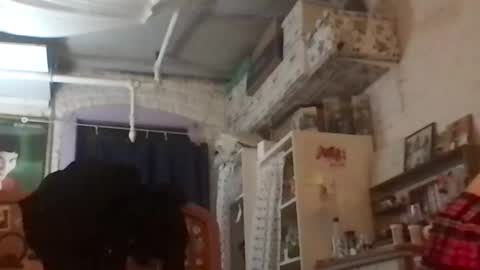 Your submissive patient online show from December 4, 8:17 am