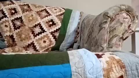 danielvillatoro92 online show from March 18, 2:28 am