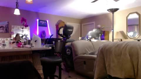 DanikaWhite69 online show from May 23, 1:18 pm