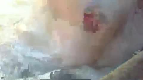 dankz4two0 online show from January 11, 3:09 pm