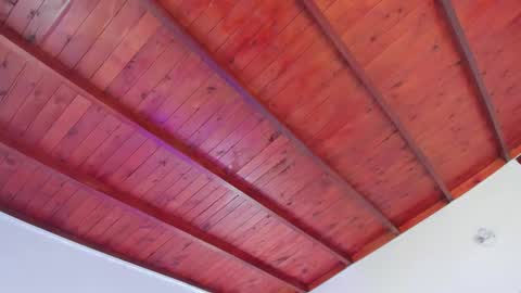 Danna online show from January 6, 7:35 pm