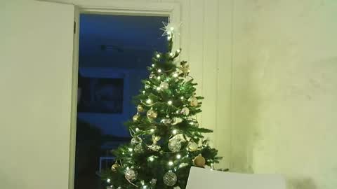 Snapshot of dartanjanas chatting on December 25, 7:56 pm Dario online show from December 25, 7:56 pm