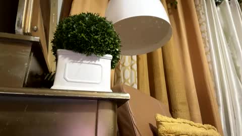 BeyJackson online show from January 15, 2:09 am