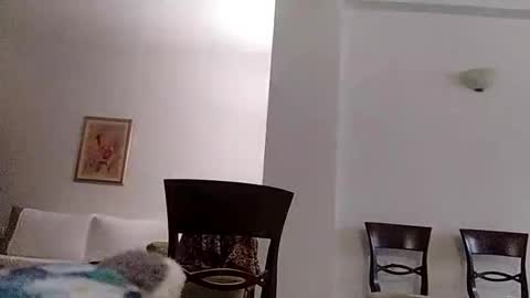 dutty boi online show from November 8, 2:58 am