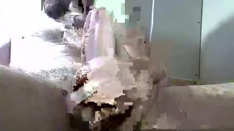 davebigcocknewhairy online show from September 15, 10:11 pm