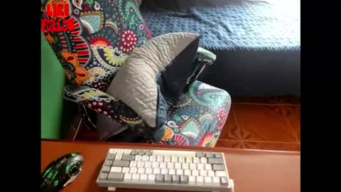 David online show from February 7, 6:44 pm