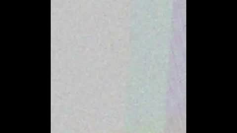 davidandalyxsalinas online show from January 7, 9:36 am