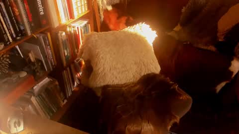 David online show from January 15, 11:10 am