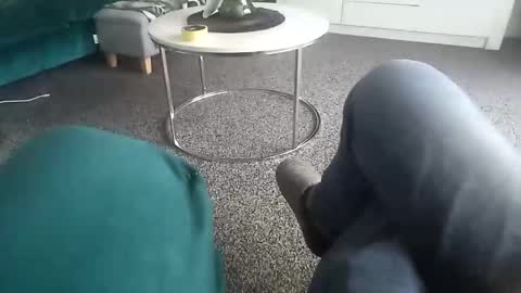 davidf75 online show from November 17, 10:51 am