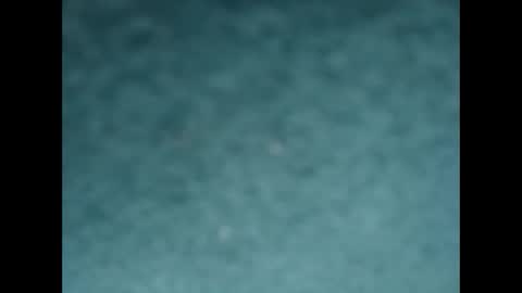 davidf75 online show from October 8, 8:31 am