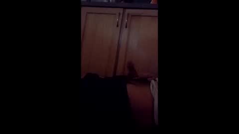 dbtrbl8311 online show from February 14, 10:07 am