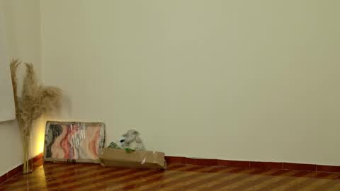 Dean online show from February 6, 8:44 pm