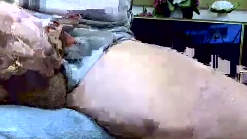 Dive Deep online show from January 19, 12:20 am