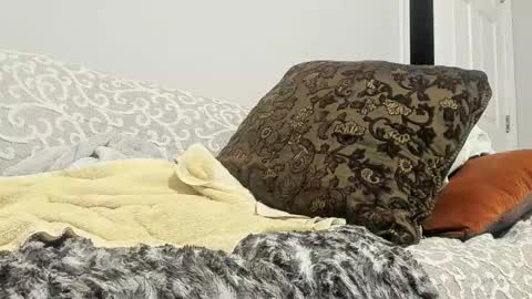 Deez Nutz online show from February 24, 5:33 am